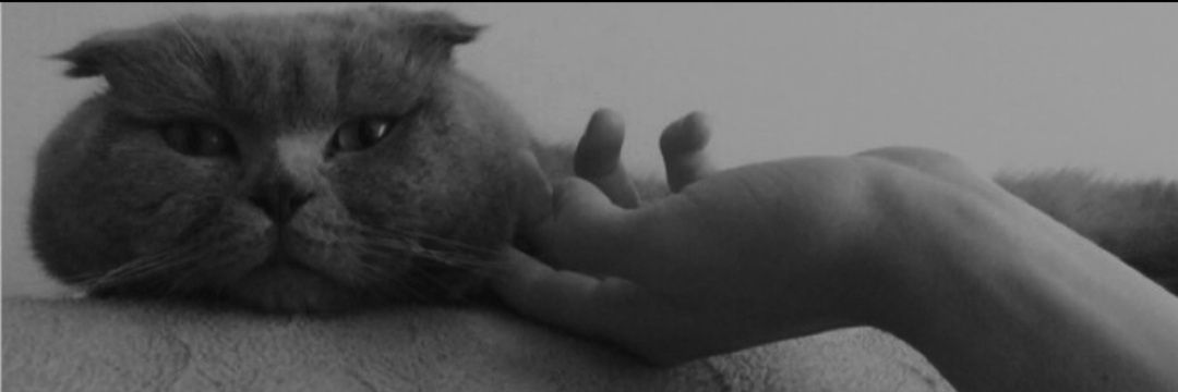 biillggee's profile banner image