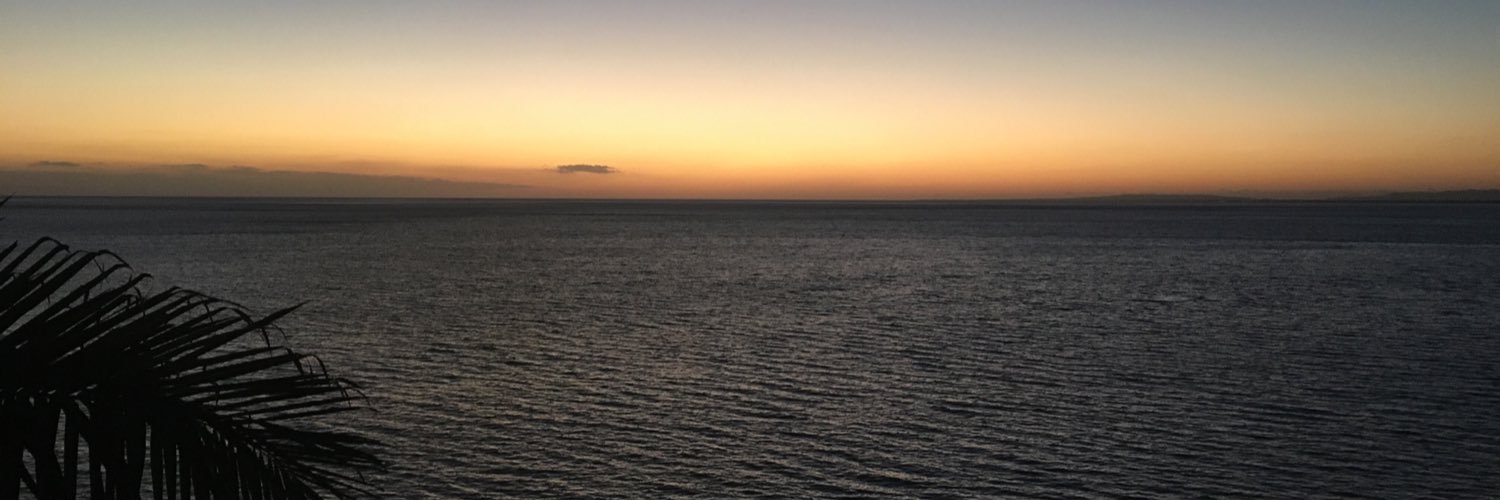 rosepink's profile banner image