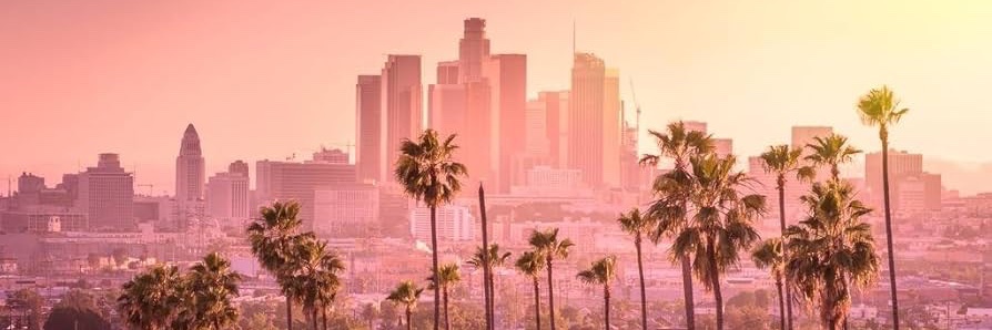 WillTB 🇺🇸 banner