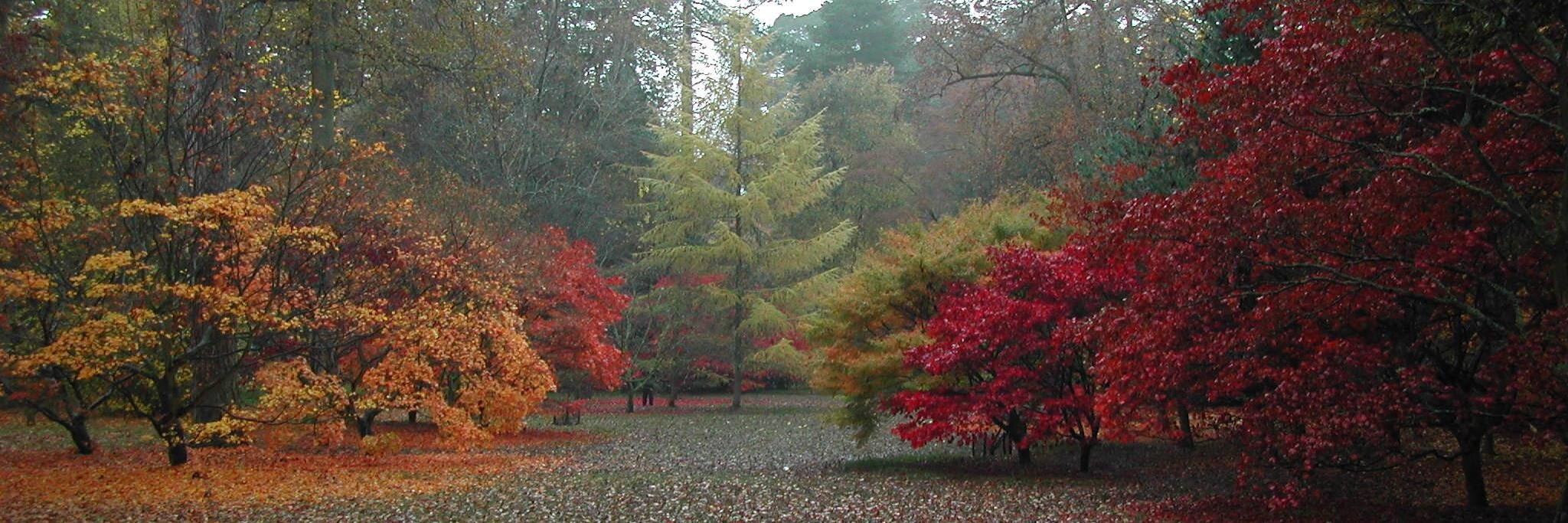 Andrea Rudge 🎺📚🏳️‍🌈💙🏴󠁧󠁢󠁷󠁬󠁳󠁿 banner