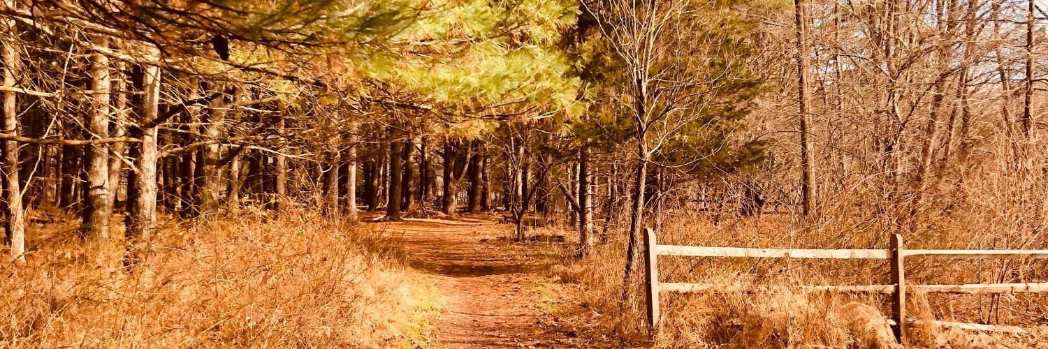 AndySharkey's profile banner image