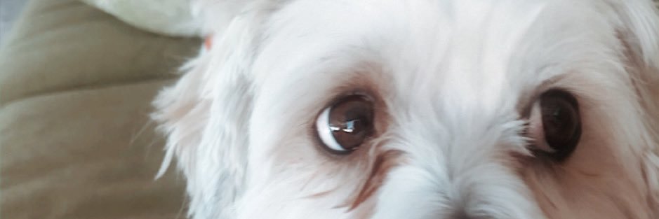 madeline banner