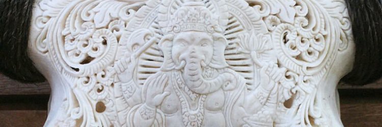 sheghanchi's profile banner image