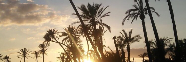 m_brst's profile banner image
