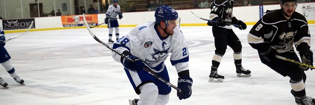 FHLFansZone's profile banner image