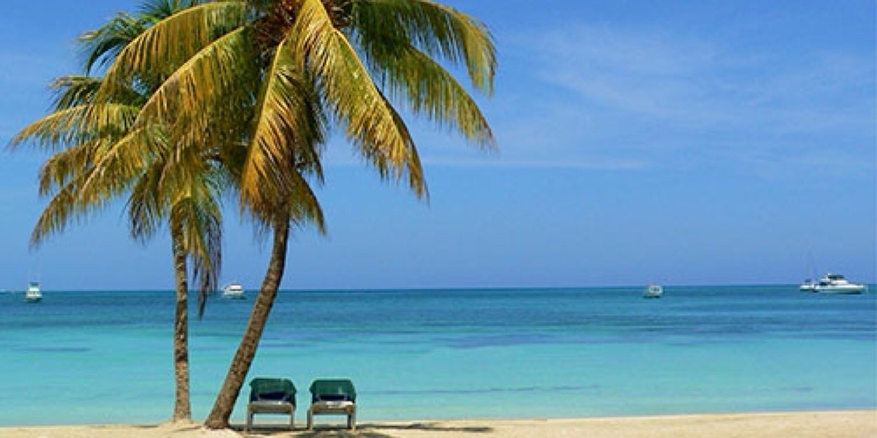 Sheri Drummond banner