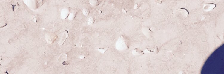 kaleighhinkson's profile banner image