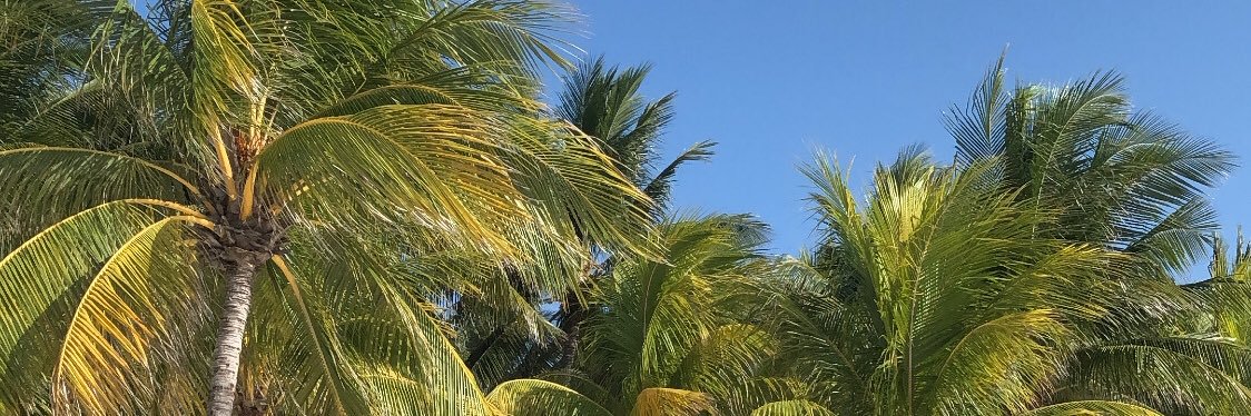 thhibaultb_'s profile banner image