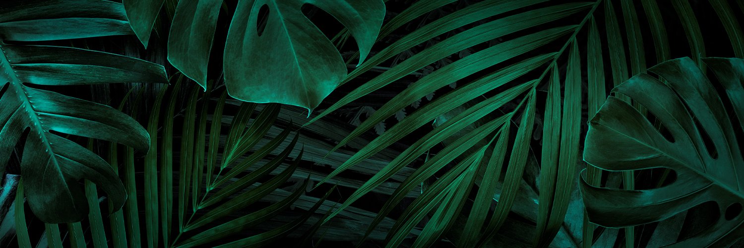 AxelFavry's profile banner image