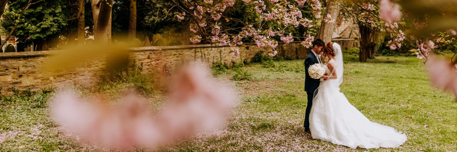 Rebecca Hardy banner