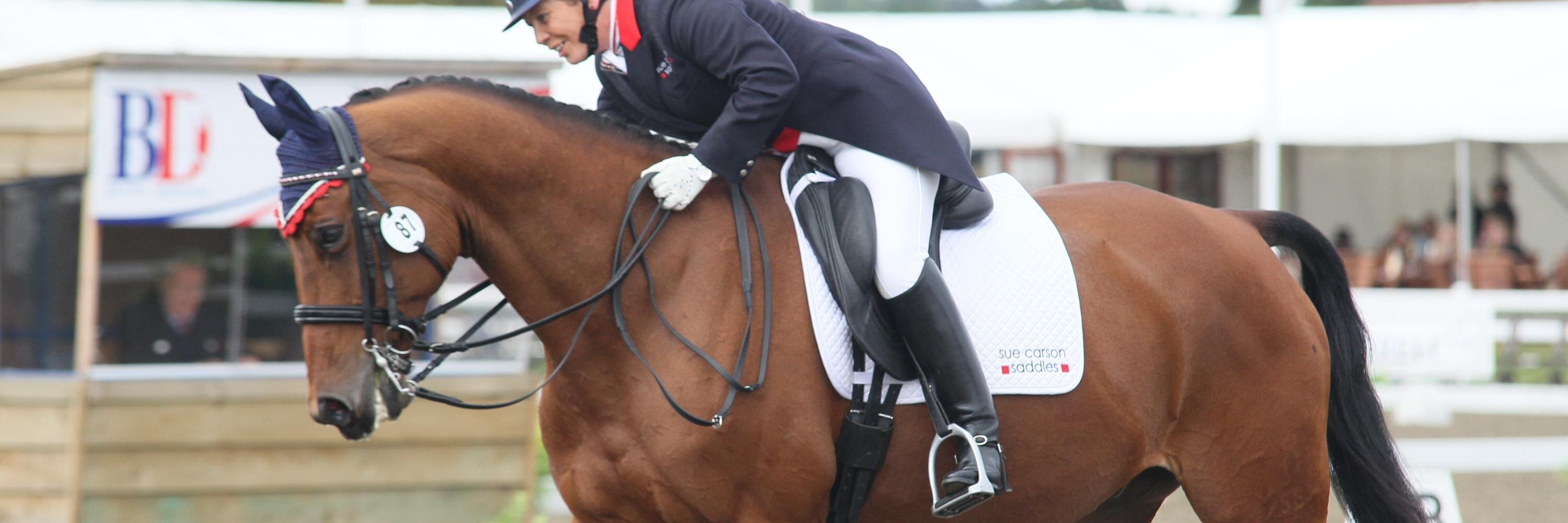 scsaddles's profile banner image