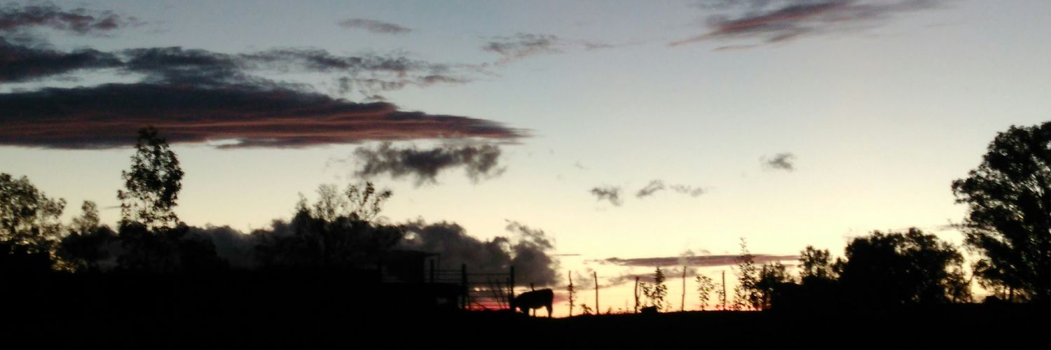 misemc71's profile banner image