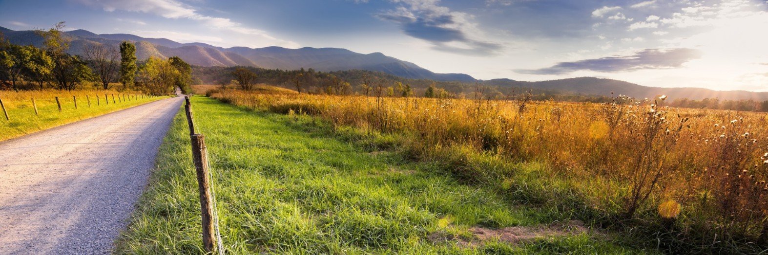 Tennessee Wildlife Resources Foundation banner