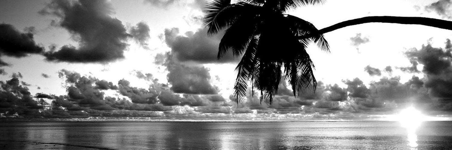 ｡ﾟ･☽༓･ﾟ｡ 𝓶𝓸𝓸𝓷𝓵𝓲𝓰𝓱𝓽 ｡ﾟ･༓☾･ﾟ｡ banner