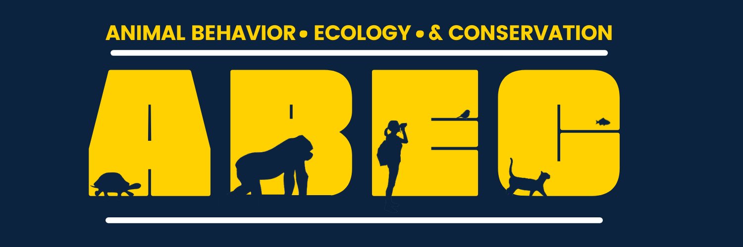CanisiusABEC's profile banner image