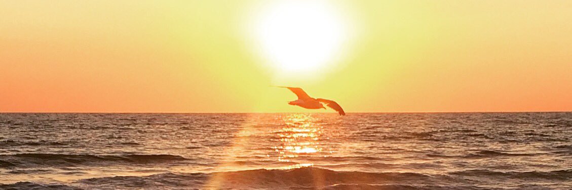 Jonkb1's profile banner image