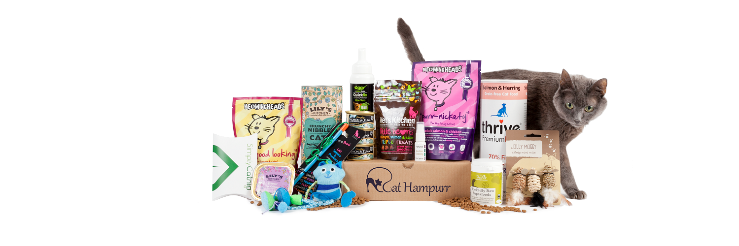 CatHampurr's profile banner image