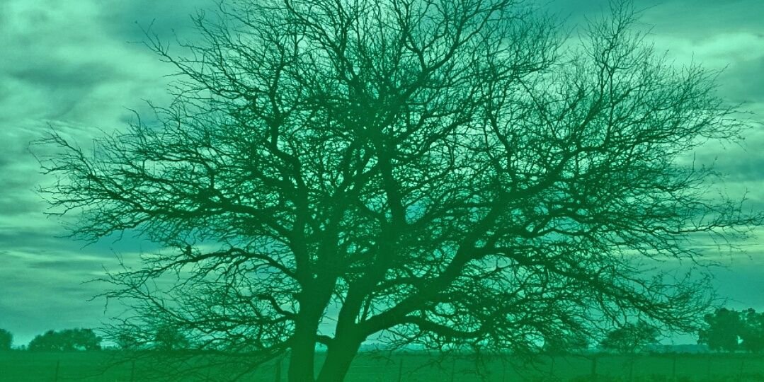 Juan Cantarella banner