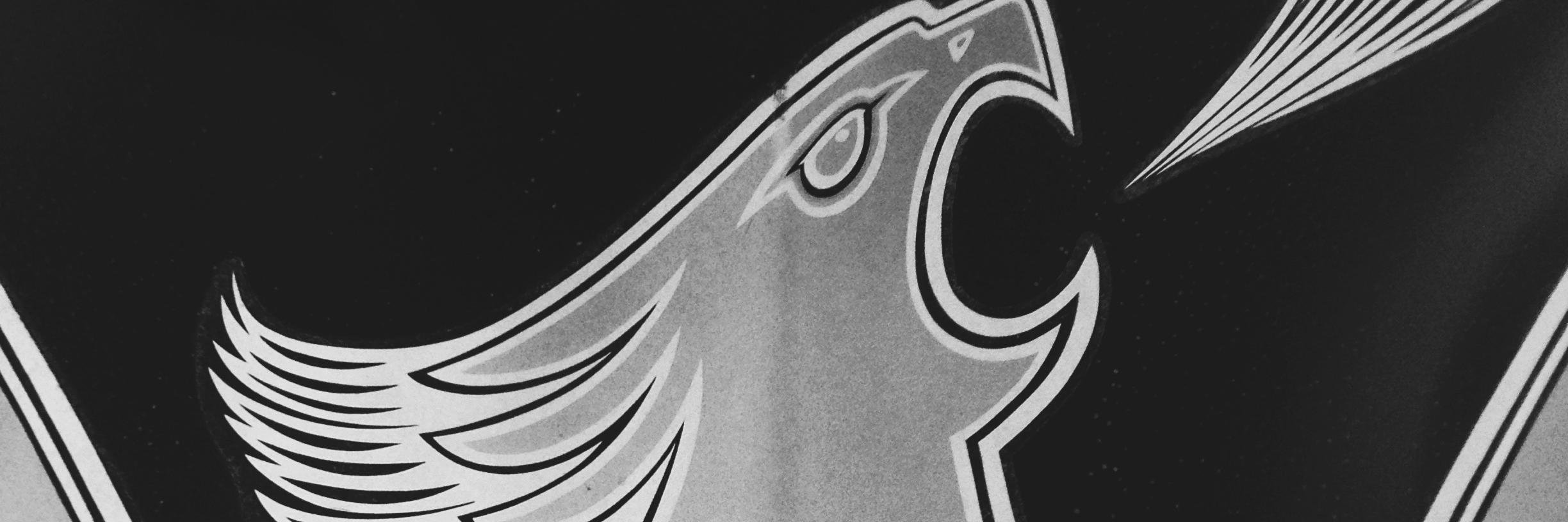 ynotsanchez's profile banner image