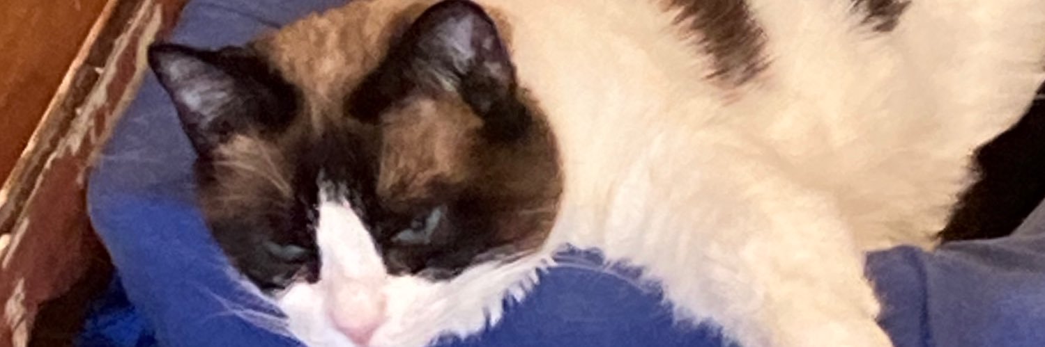 music4fun's profile banner image