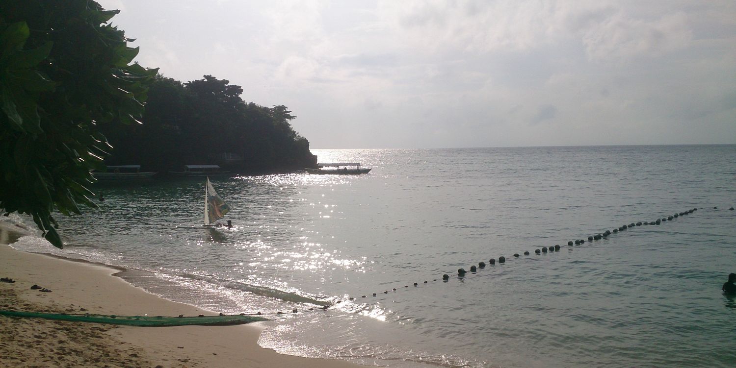 Mark Anderson banner