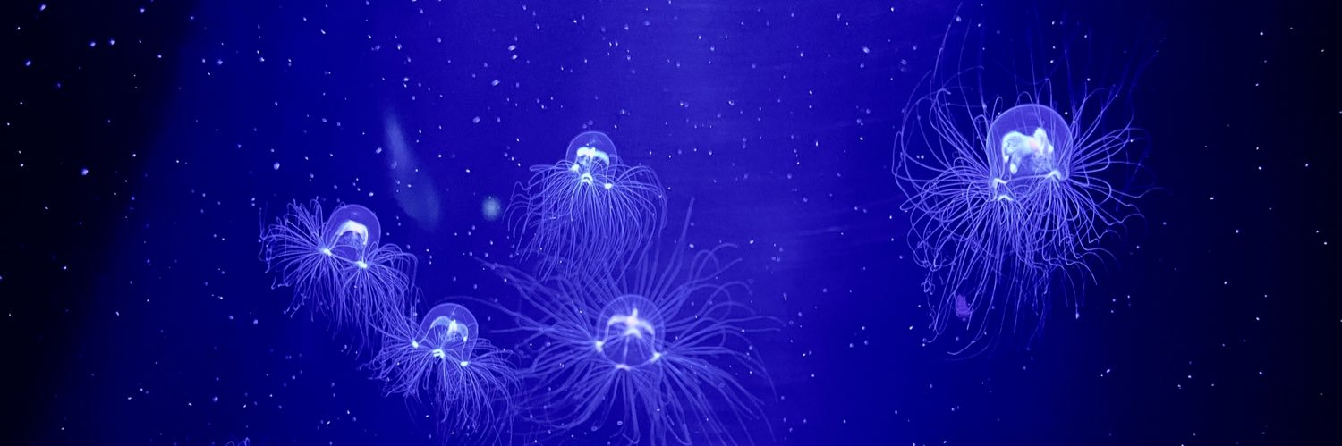 I_ce__01's profile banner image