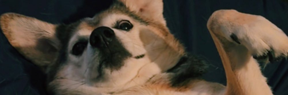 JustJack_716's profile banner image