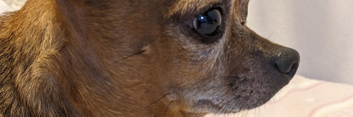 alfredoogd's profile banner image