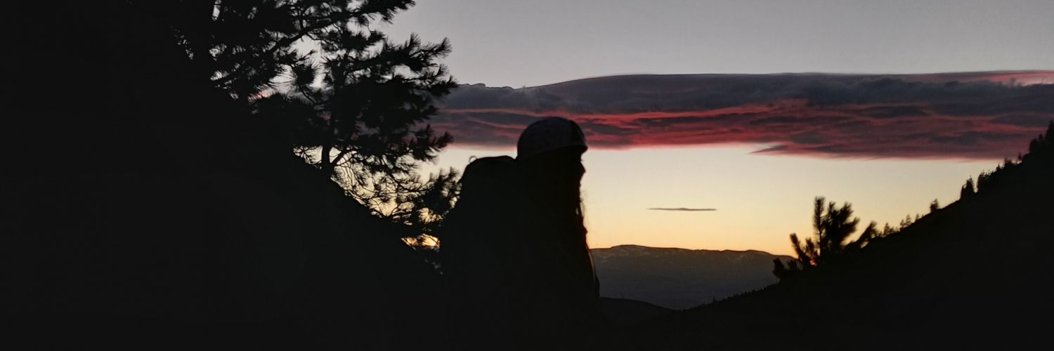 sofureyes's profile banner image