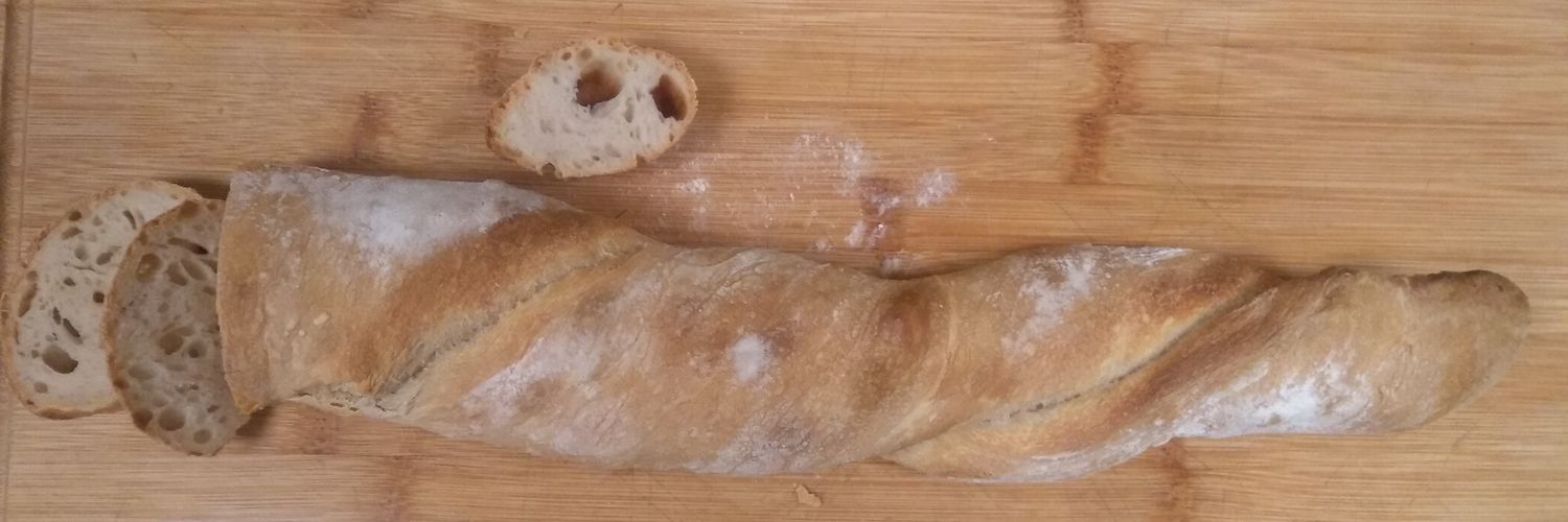 @helmickeymouse@fidelis.social banner