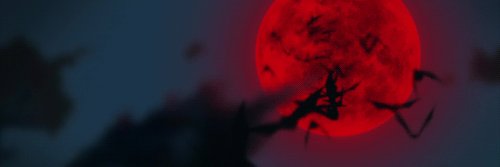 dulie611's profile banner image