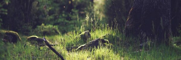 ShopZesa Profile Banner