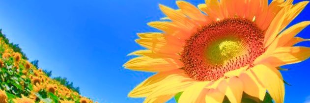 at8_s2's profile banner image