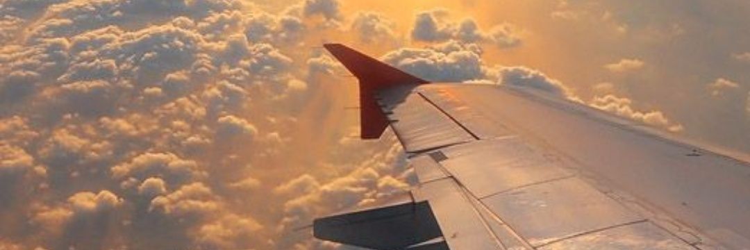 dicundosofi_'s profile banner image