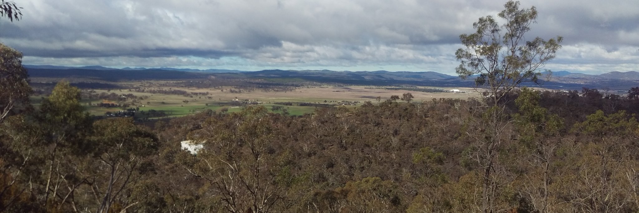 Andrew Smailes banner