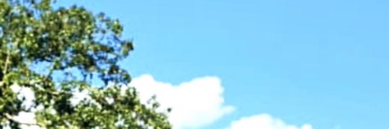 pridefamserves's profile banner image