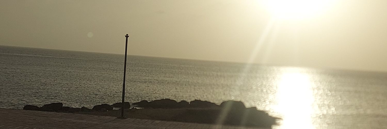 Rmeen66's profile banner image