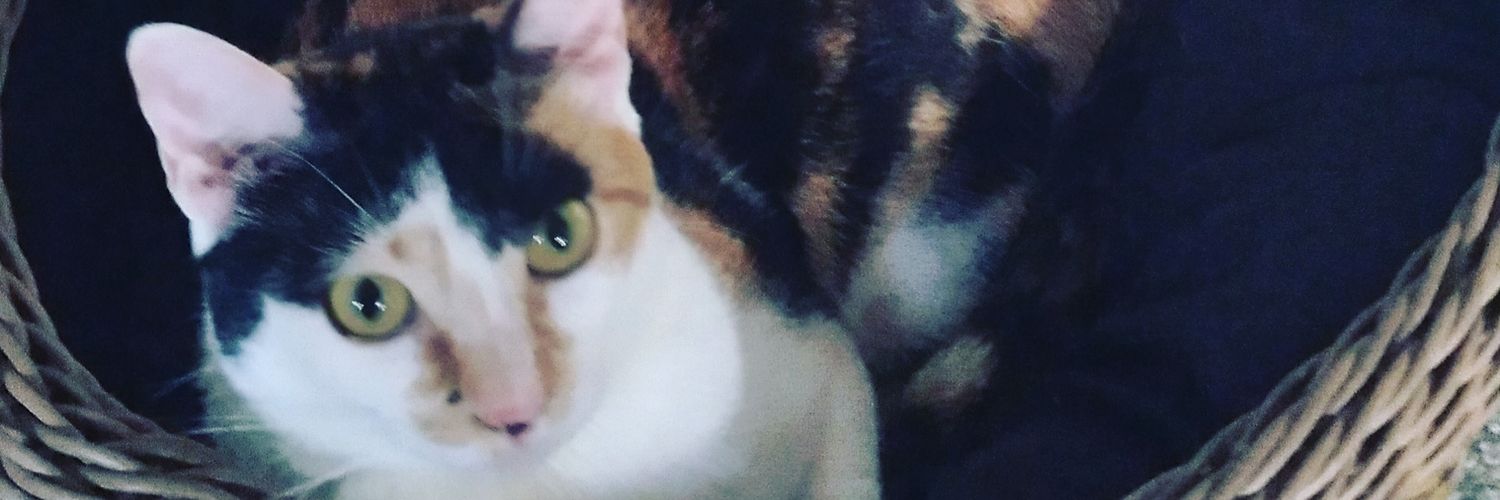 GIVEGI's profile banner image