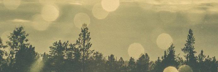 mommasabe's profile banner image