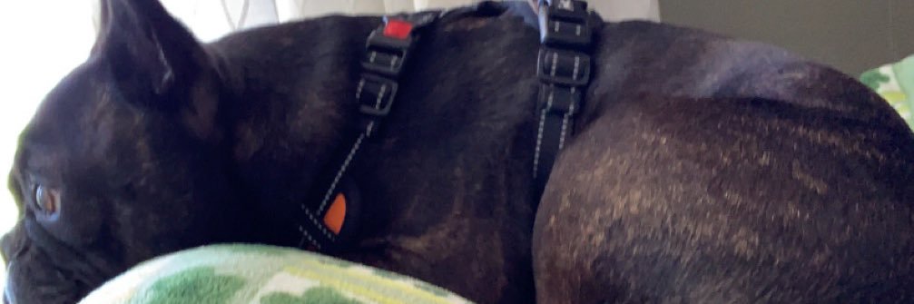 MILAIDAN_'s profile banner image