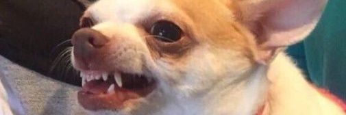 SuckMyDick_13's profile banner image