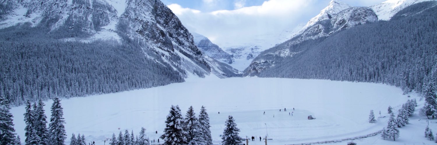 LocalIdentity banner