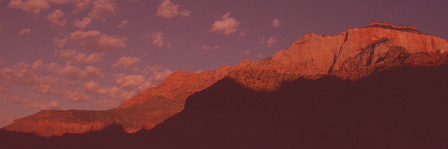 madelfro's profile banner image