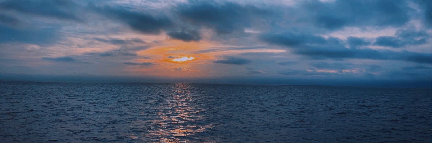 SenseiShrimp's profile banner image
