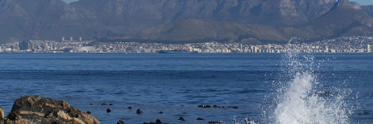 Kenneth V Anthony banner