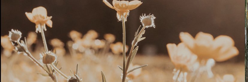 Jeeenn_24's profile banner image