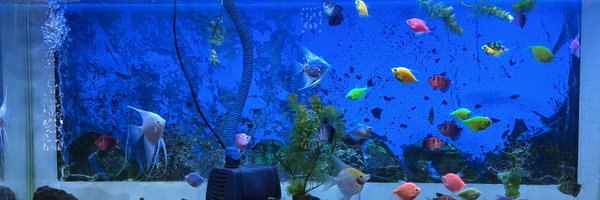 Standup_global Profile Banner