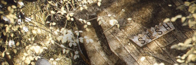 Beau__Berry's profile banner image