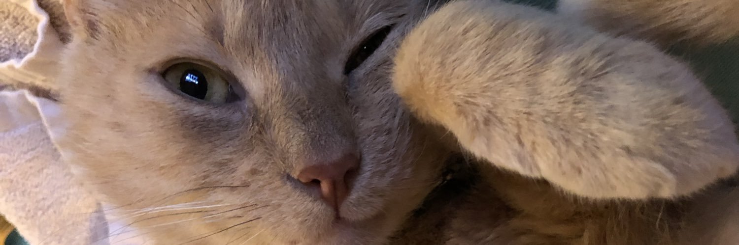 ShawnBly's profile banner image