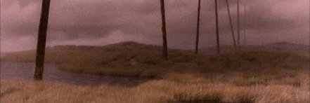 монсеньор серед амфібій banner